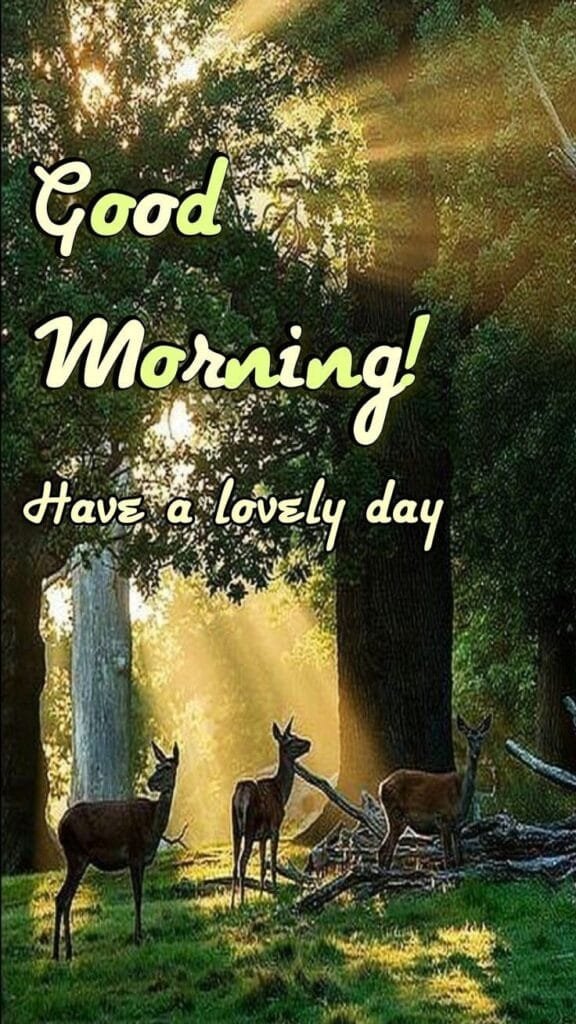 Good Morning Image wallpaper 10