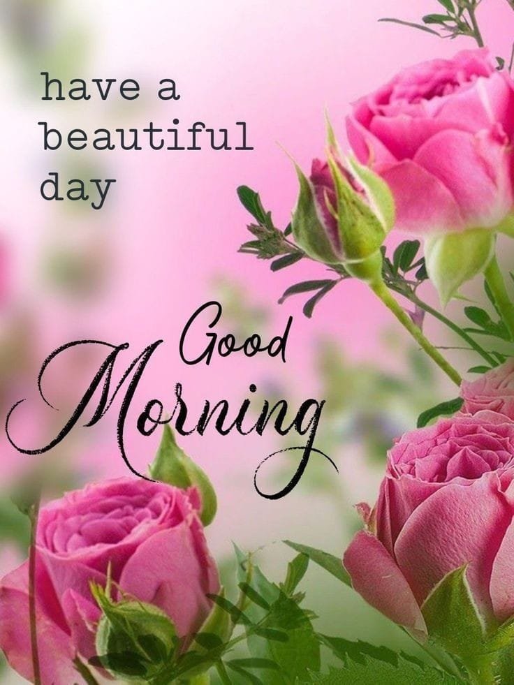 Good Morning Image wallpaper 110