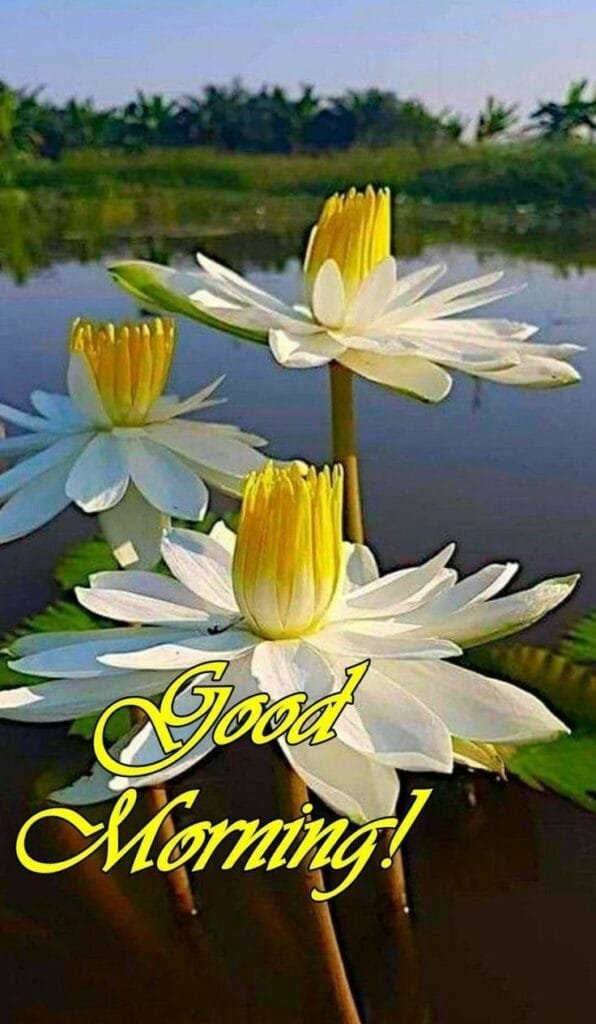 Good Morning Image wallpaper 12