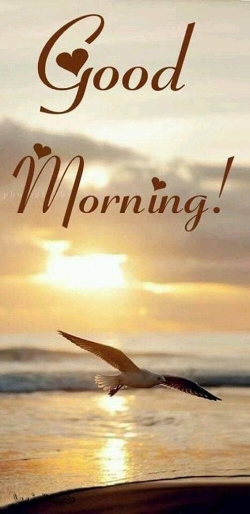 Good Morning Image wallpaper 132