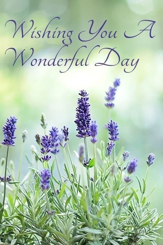 Good Morning Image wallpaper 135