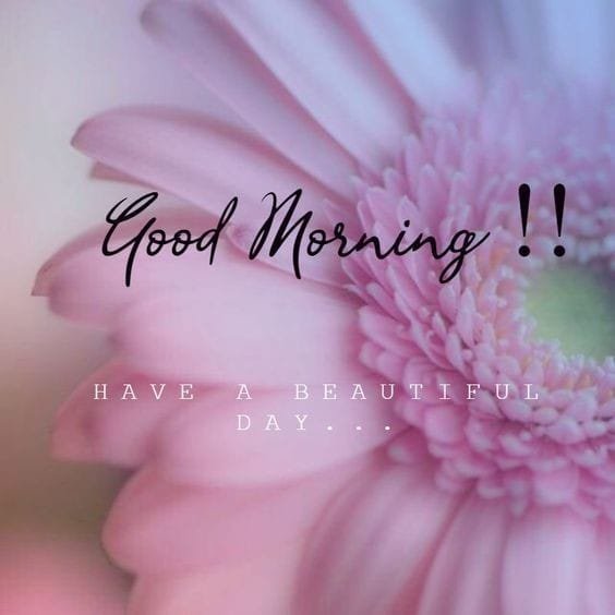 Good Morning Image wallpaper 139