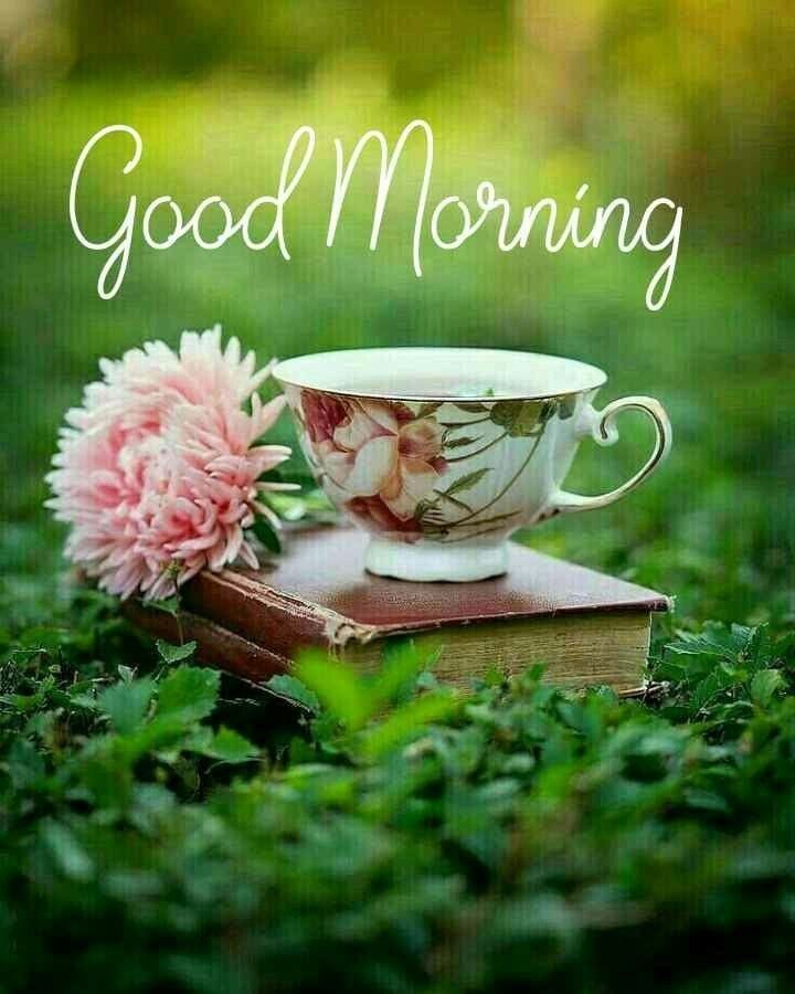 Good Morning Image wallpaper 151