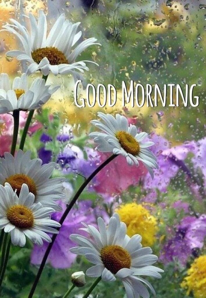 Good Morning Image wallpaper 159