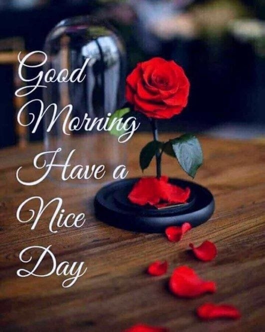Good Morning Image wallpaper 163