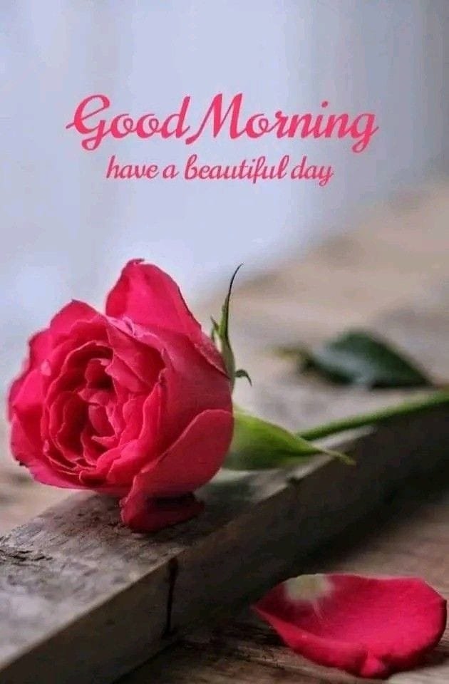 Good Morning Image wallpaper 27