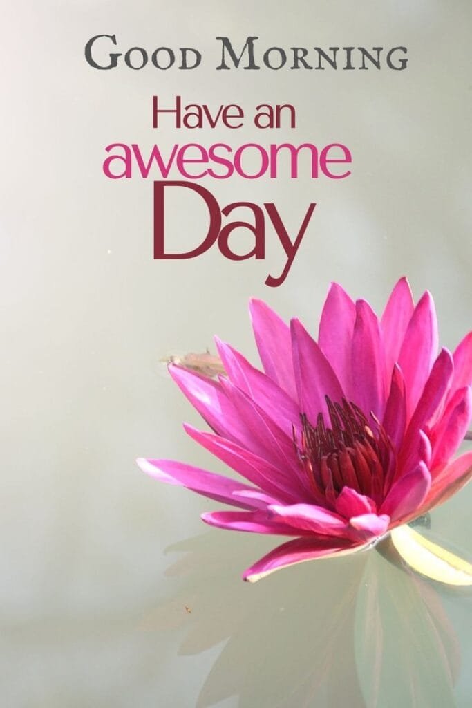 Good Morning Image wallpaper 53