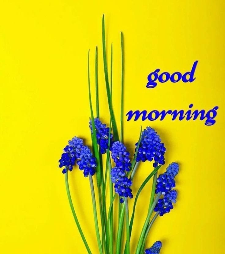 Good Morning Image wallpaper 71