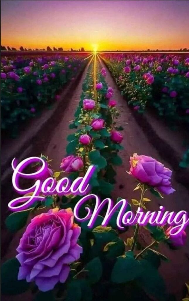 Good Morning Image wallpaper 83