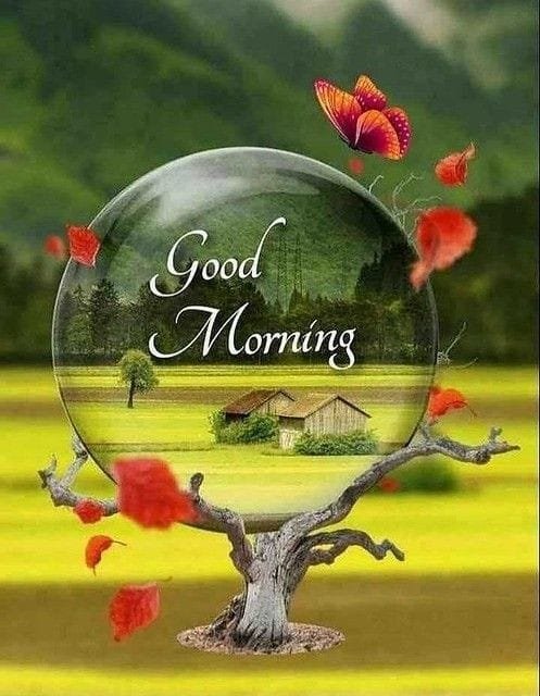Good Morning Image wallpaper 85