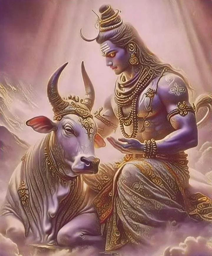 Mahadev Dp Images 5