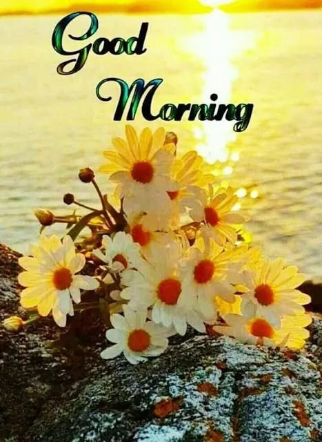 Good%20Morning%20Image%20wallpaper%20(1)