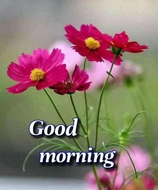 Good%20Morning%20Image%20wallpaper%20(107)