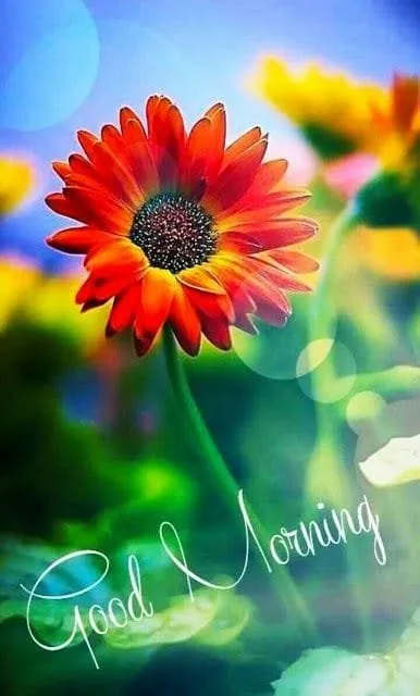 Good%20Morning%20Image%20wallpaper%20(108)