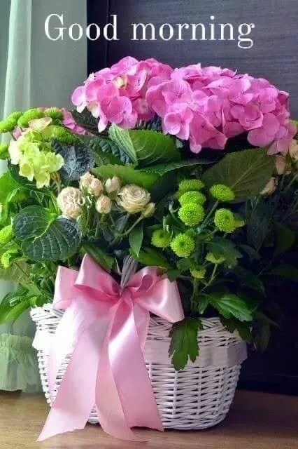 Good%20Morning%20Image%20wallpaper%20(116)