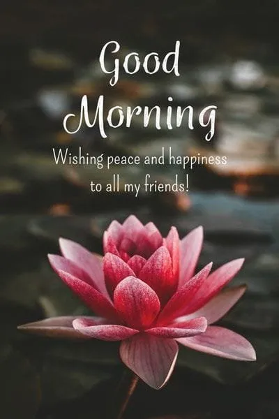 Good%20Morning%20Image%20wallpaper%20(118)