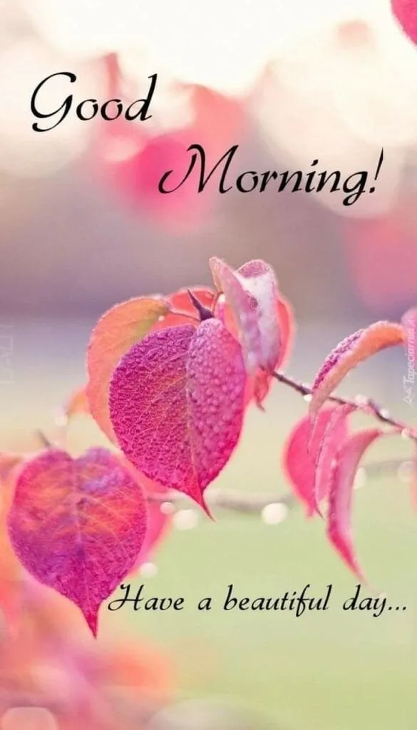 Good%20Morning%20Image%20wallpaper%20(124)