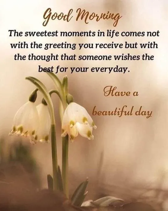 Good%20Morning%20Image%20wallpaper%20(133)