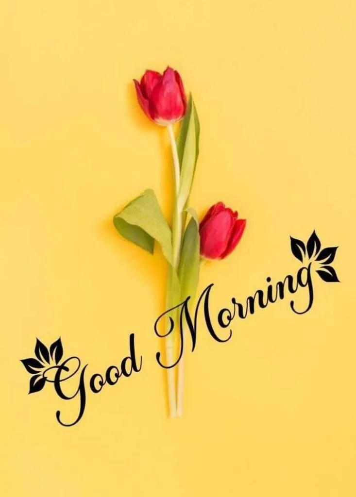 Good%20Morning%20Image%20wallpaper%20(134)
