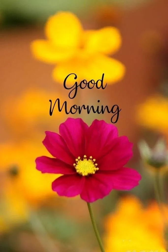Good Morning Image wallpaper 18