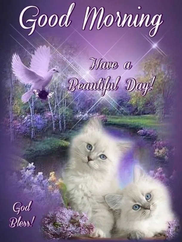 Good Morning Image wallpaper 441