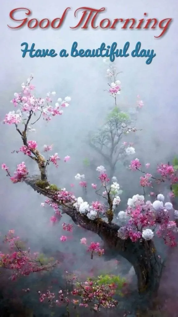 Good Morning Image wallpaper 8