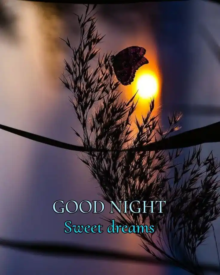 a good night picture 101