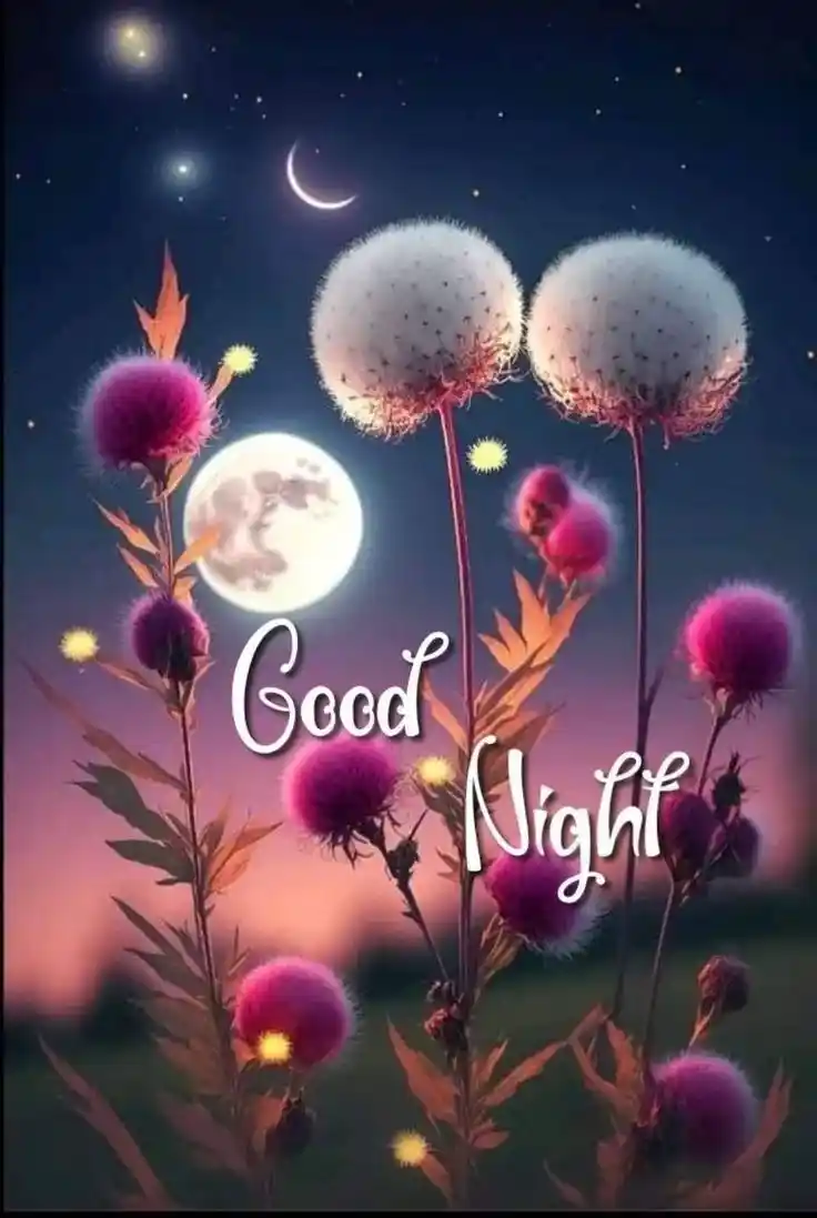 good night photo download hd