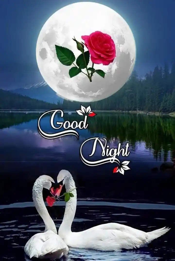 alone good night images 42