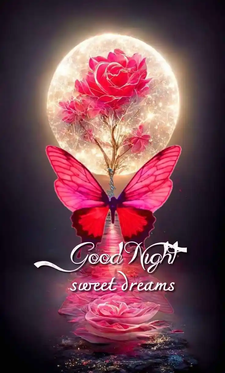 animated good night images 43