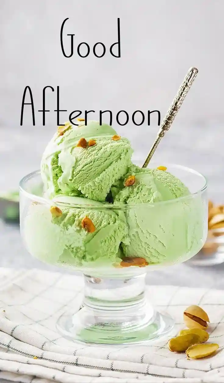 bing image creator whatsapp free