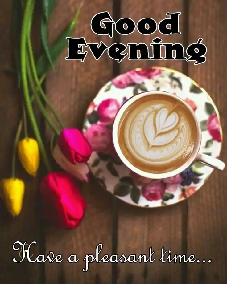 whatsapp dp beautiful images