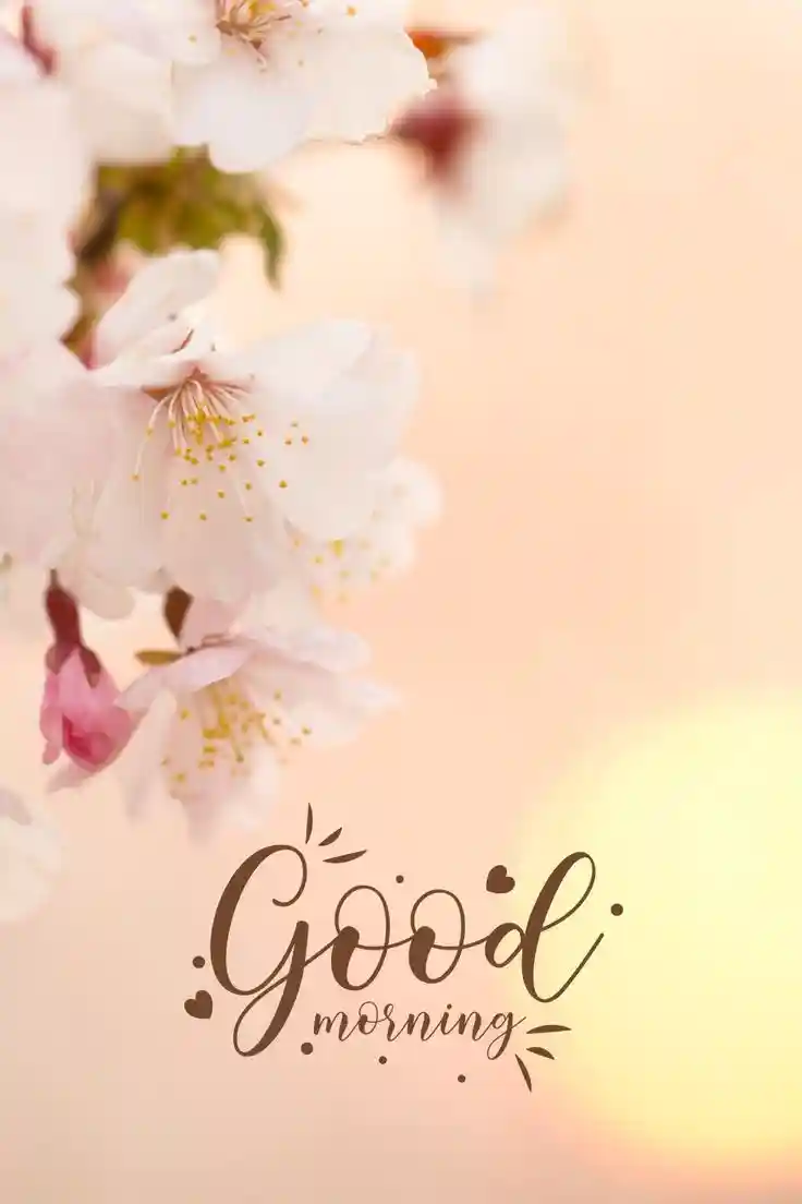 b letter images for whatsapp dp