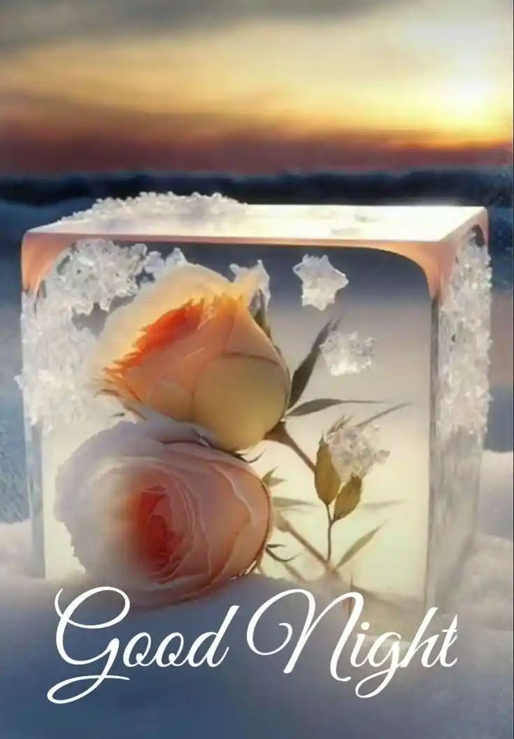 beautiful good night images new 2024 19