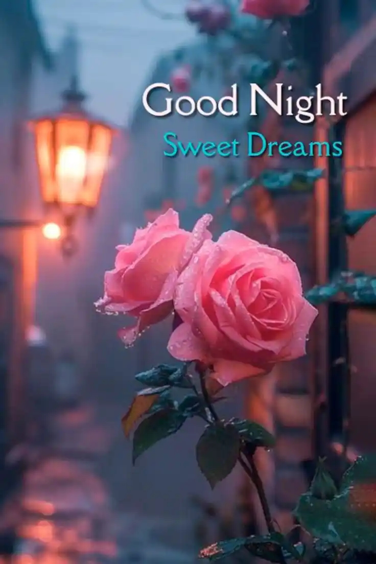 beautiful good night images with love 54