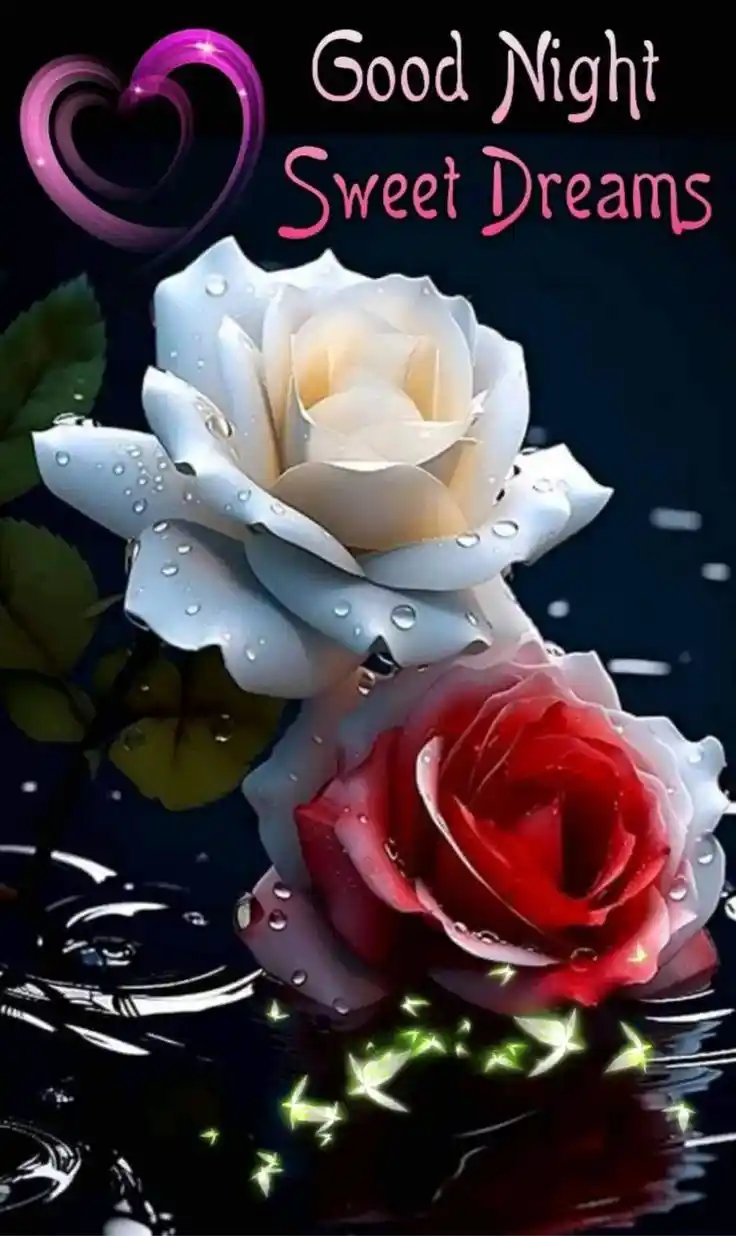 beautiful good night photo 27
