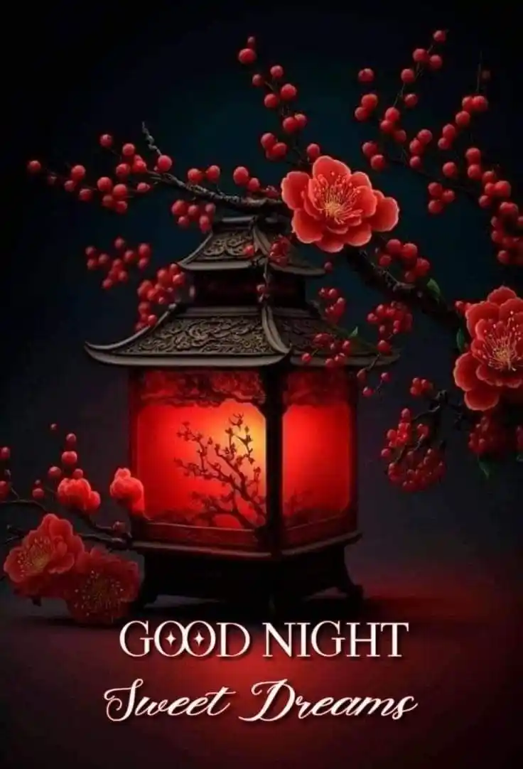 beautiful good night pic gif 143