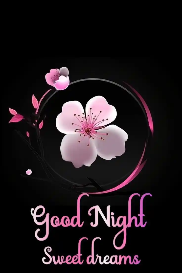 beautiful good night pic hd 56