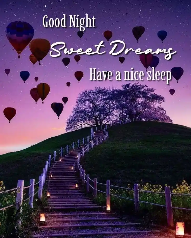 good night watssapp dp	