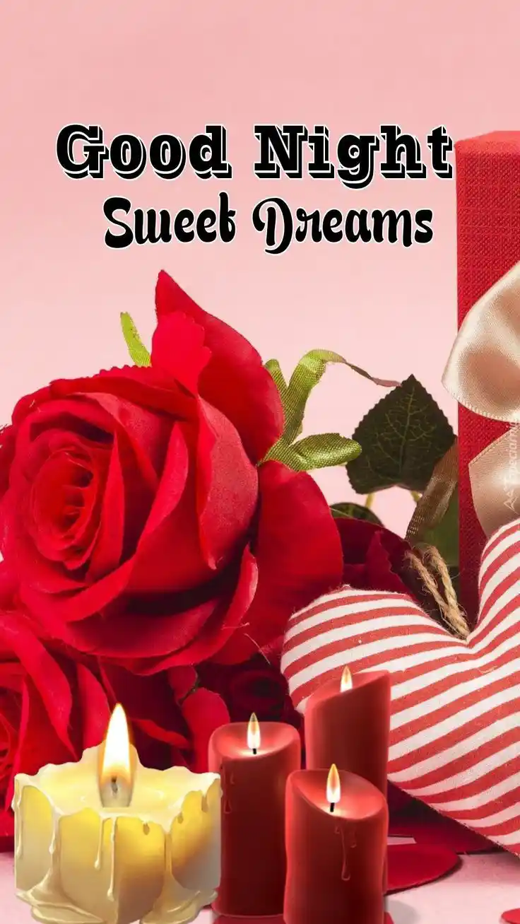 good night sweet animal dp