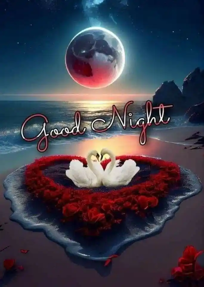 good night status dp download	