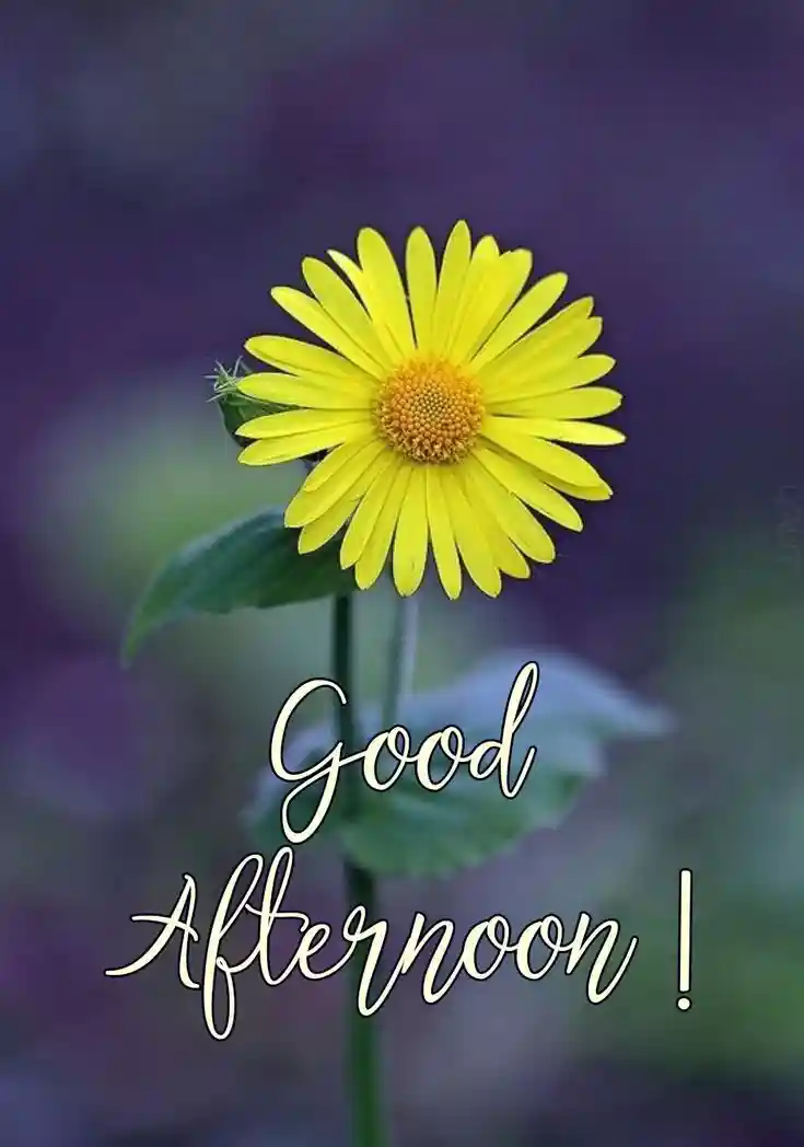 whatsapp dp images love couple