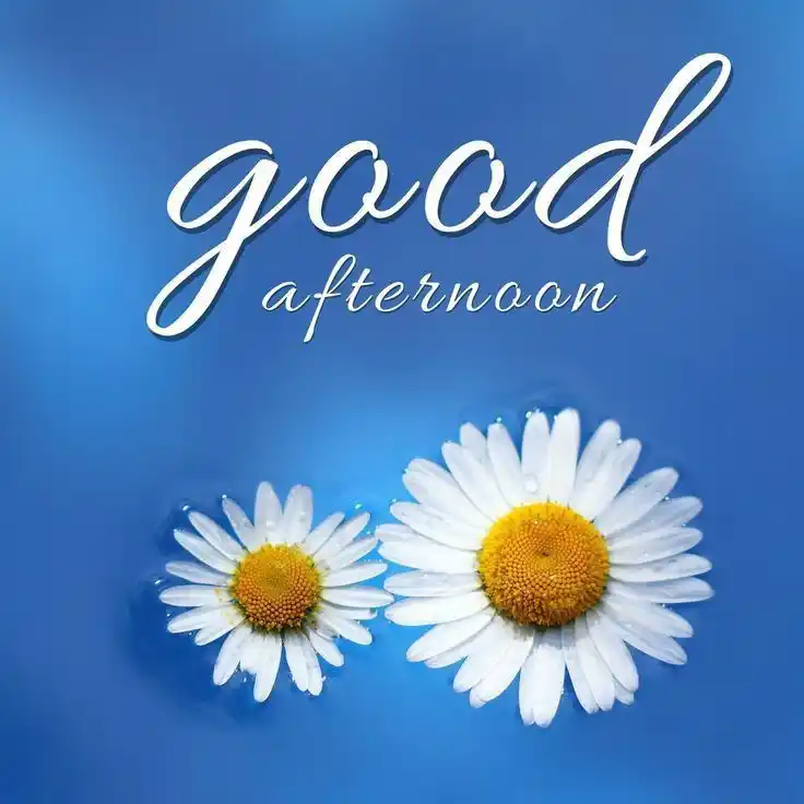 good night images in tamil for whatsapp