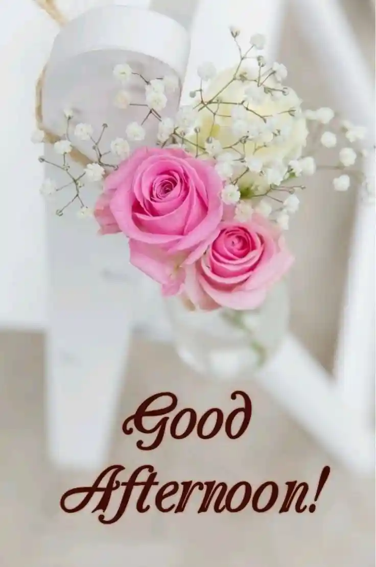 smile images whatsapp dp