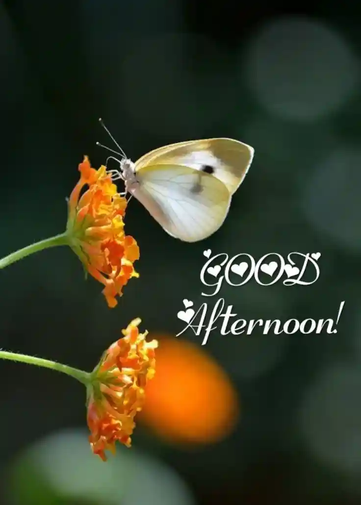 shivling images for whatsapp dp