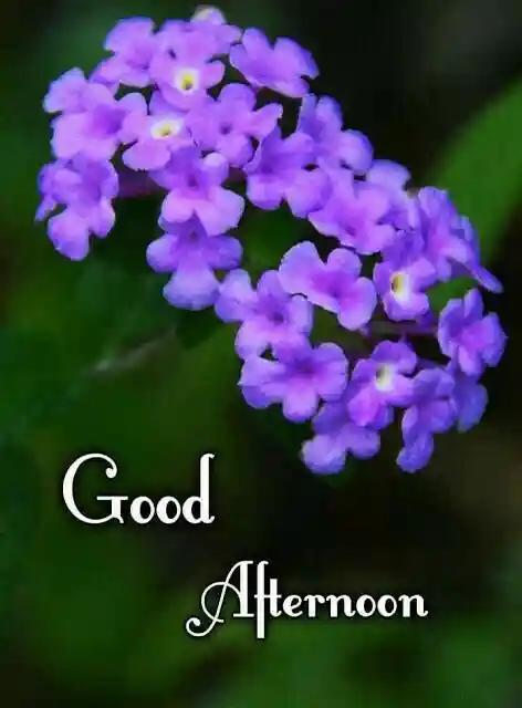 happy diwali wishes 2023 images for whatsapp