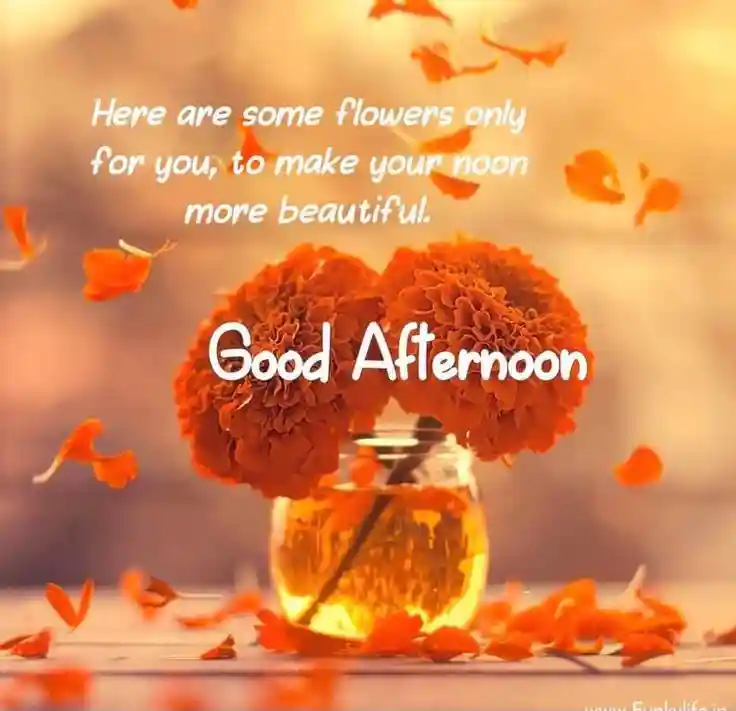 recover whatsapp images