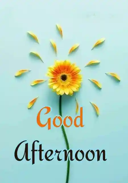 funny images for whatsapp group