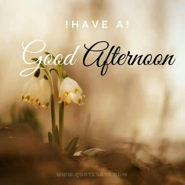 gurbani images for whatsapp