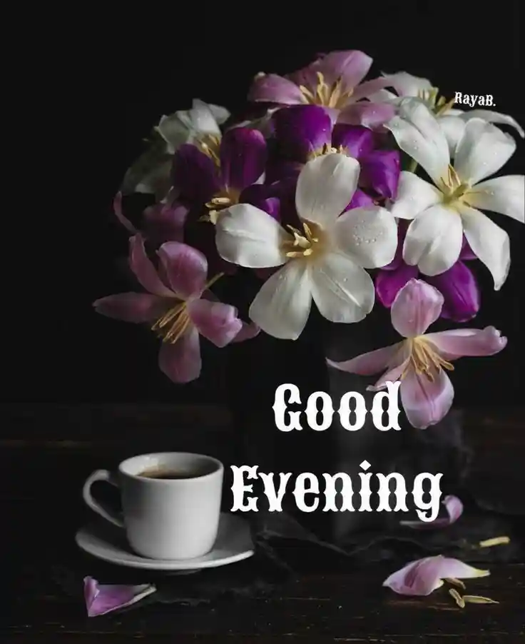 whatsapp dp heroine images